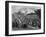 Entry of the French Army into Berlin, 27th October 1806 (1882-188)-null-Framed Giclee Print