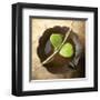 Entwined-Glen and Gayle Wans-Framed Giclee Print