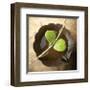 Entwined-Glen and Gayle Wans-Framed Giclee Print
