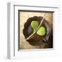 Entwined-Glen and Gayle Wans-Framed Giclee Print