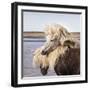 Entwined-Tim Mannakee-Framed Giclee Print