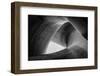 entwined-Peter Pfeiffer-Framed Photographic Print