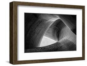 entwined-Peter Pfeiffer-Framed Photographic Print