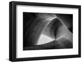 entwined-Peter Pfeiffer-Framed Photographic Print