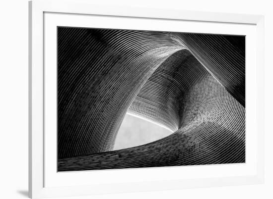 entwined-Peter Pfeiffer-Framed Photographic Print