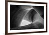 entwined-Peter Pfeiffer-Framed Photographic Print