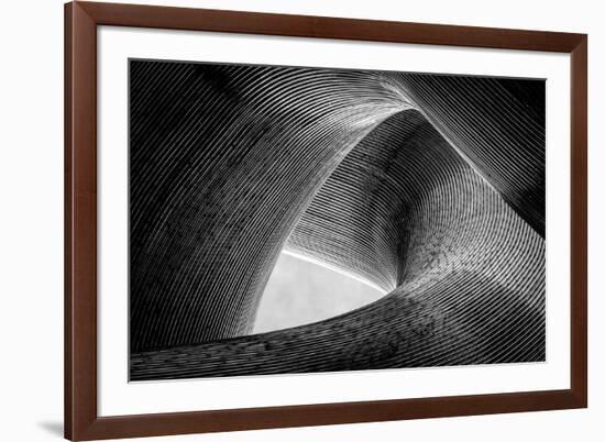 entwined-Peter Pfeiffer-Framed Photographic Print