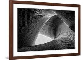 entwined-Peter Pfeiffer-Framed Photographic Print