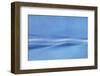 Entwined-Jacob Berghoef-Framed Photographic Print