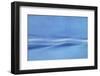 Entwined-Jacob Berghoef-Framed Photographic Print