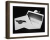 Envelope Used by Price Waterhouse to Enclose the Name of Academy Award Winner-null-Framed Photographic Print