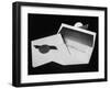 Envelope Used by Price Waterhouse to Enclose the Name of Academy Award Winner-null-Framed Photographic Print