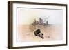 ENVIRONMENT 11 (drawing)-Ralph Steadman-Framed Giclee Print