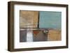 Environment-Leo Burns-Framed Art Print