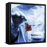 Environmental Contamination-Cristina-Framed Stretched Canvas