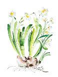 Abstract Daffodils-Enya Todd-Art Print
