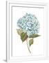 Gramercy White