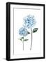 Black Frame