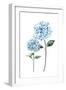 White Frame