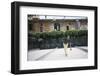 Enzo Jannacci Playing Bowls-null-Framed Photographic Print