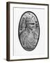 Enzo, King of Sardinia-null-Framed Giclee Print