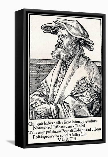 Eobanus Hesse, 1527-Albrecht Dürer-Framed Stretched Canvas