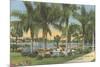 Eola Park, Orlando, Florida-null-Mounted Premium Giclee Print