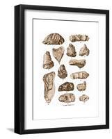 Eoliths from France, Belgium and England-Science Source-Framed Giclee Print