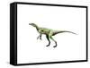 Eoraptor Dinosaur-null-Framed Stretched Canvas