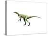 Eoraptor Dinosaur-null-Stretched Canvas