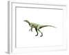 Eoraptor Dinosaur-null-Framed Art Print