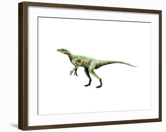 Eoraptor Dinosaur-null-Framed Art Print