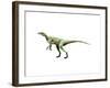 Eoraptor Dinosaur-null-Framed Art Print