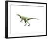 Eoraptor Dinosaur-null-Framed Art Print