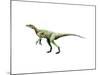Eoraptor Dinosaur-null-Mounted Art Print