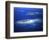 Eori Island, Mamanuca Islands, Fiji-David Wall-Framed Photographic Print