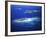 Eori Island, Mamanuca Islands, Fiji-David Wall-Framed Photographic Print