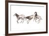 Eotitanops-null-Framed Photographic Print