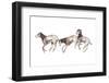 Eotitanops-null-Framed Photographic Print