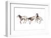 Eotitanops-null-Framed Photographic Print