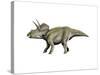 Eotriceratops Dinosaur-null-Stretched Canvas