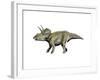 Eotriceratops Dinosaur-null-Framed Art Print