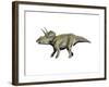 Eotriceratops Dinosaur-null-Framed Art Print