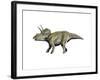 Eotriceratops Dinosaur-null-Framed Art Print