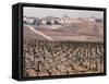 Epernay Vineyard, 1987-Hilary Evans-Framed Stretched Canvas