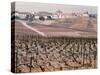 Epernay Vineyard, 1987-Hilary Evans-Stretched Canvas