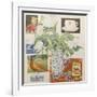 Ephemera, including coffee cup, cigarette packs; postcard and tulips-Jennifer Abbott-Framed Giclee Print