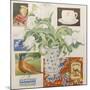 Ephemera, including coffee cup, cigarette packs; postcard and tulips-Jennifer Abbott-Mounted Giclee Print