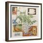 Ephemera, including coffee cup, cigarette packs; postcard and tulips-Jennifer Abbott-Framed Giclee Print