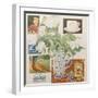 Ephemera, including coffee cup, cigarette packs; postcard and tulips-Jennifer Abbott-Framed Giclee Print